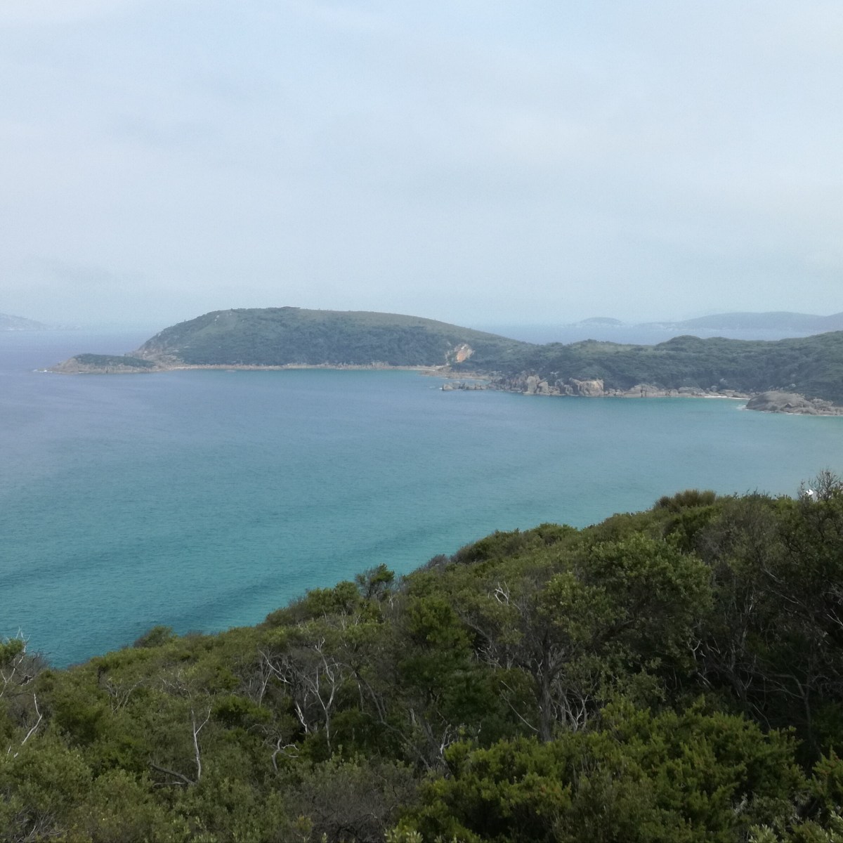 Australie – jour 11 : Wilsons&nbsp;Promontory